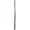 Ekena Millwork Versailles Ceiling Medallion (Fits Canopies up to 3 1/4"), Hand-Painted Gobi Desert, 33"OD x 1 3/4"P CM33VEGDF - alternate 3